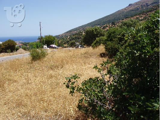 ΑΝΔΡΟΣ, ΠΩΛΕΙΤΑΙ ΟΙΚΟΠΕΔΟ 2.000 τ.μ., ΑΔΕΙΑ ΟΙΚΟΔΟΜΗΣ 2004...